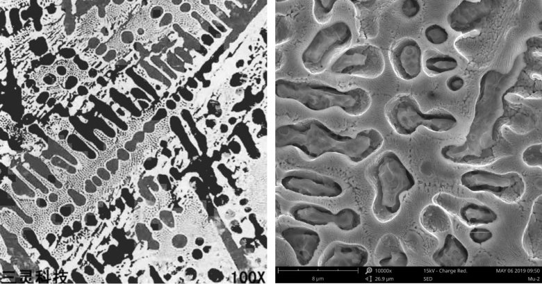 圖 1 金相樣品光學(xué)顯微鏡圖像 (左) 和掃描電鏡圖像 (右)
